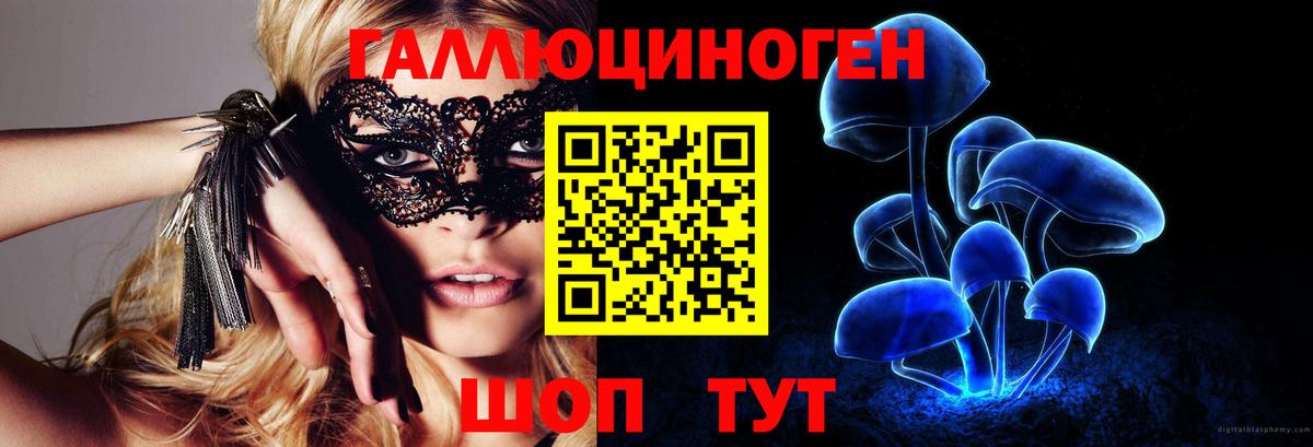 Мытищи  дарнет шоп  Вход с VPN  Галлюциногенные грибы Cubensis  Галлюциногенные грибы Cubensis 